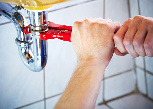 About Wharton Plumbers